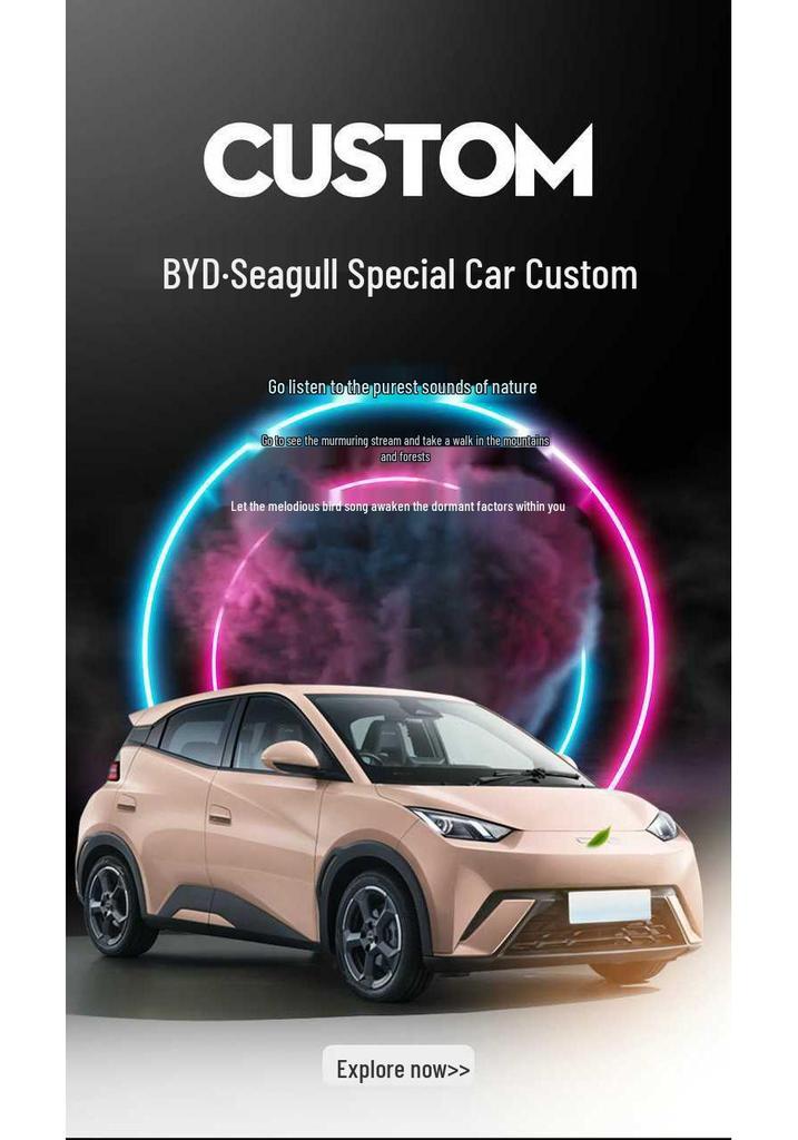 BYD Seagull Full Coverage Seat Covers - Vibrant/Free Edition