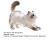 Transparent Kitten Hair Storage Box Waterproof Compact Lightweight Keepsake Pet Lover Sentimental Keychain Pendant