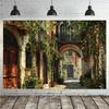 2D Romantische Europäische Gasse Kulisse, Altstadt mit Grünen Ranken für Fotoshooting