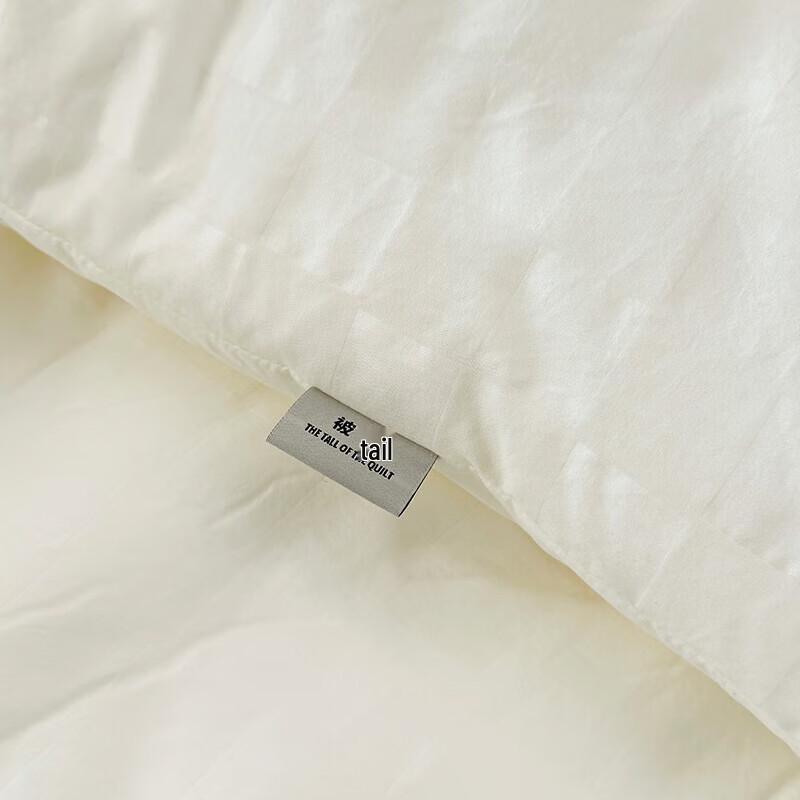 Nan Fang Sheng Huo Seidenprotein Jacquard Winterdecke