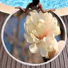 Elegant Magnolia Flower Round Beach Towel,Polyester Sand Resistant Shawl Beach Blanket,Absorbent Quick Dry Pool Towel Picnic Mat