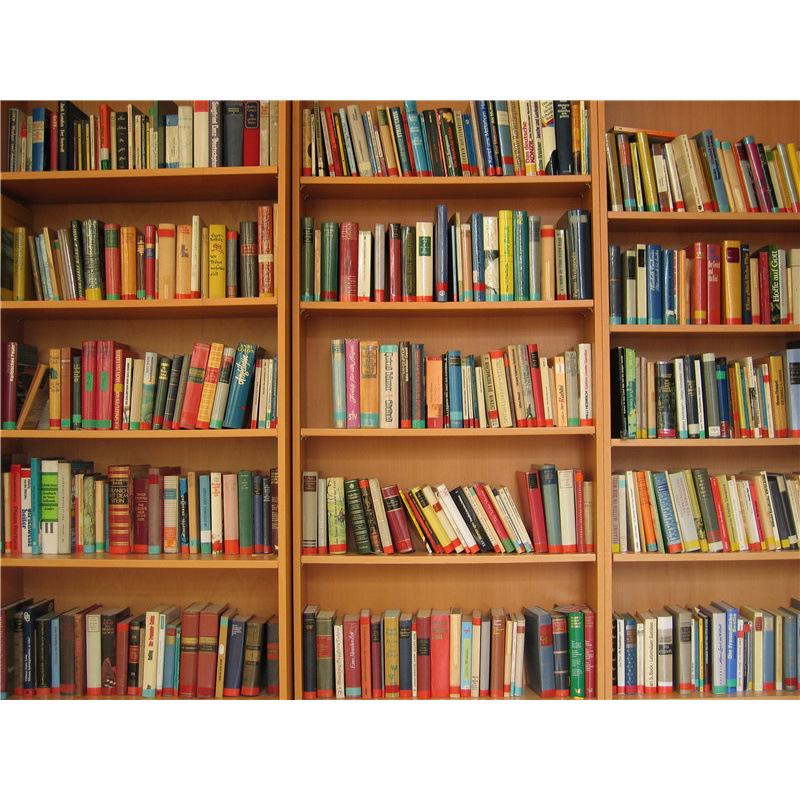 High-Definition Douyin-Moderator-Hintergrund: Bücherregal Bürodeko