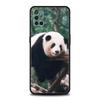 Phone Case For OnePlus 13 12 11 10 9 Pro 9T 13R 12R 10R 9R 9RT 10T 8T 8 Nord 2T CE 2 3 5G N200 N30 Soft Cover Panda