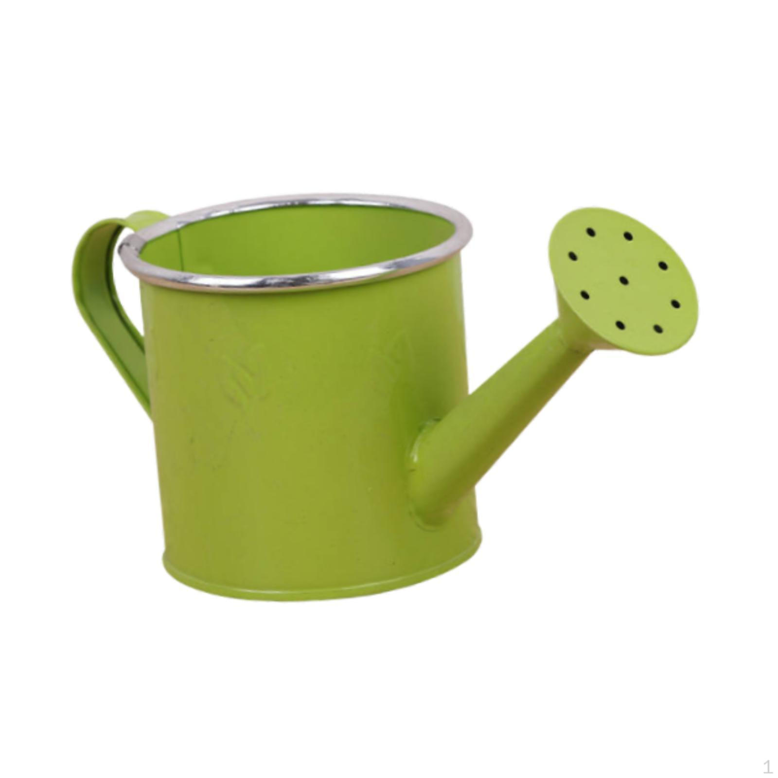 

Металлическая лейка для комнатных и уличных растений, практичный садовый инструмент, подарки с насадкой-дождевателем