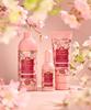Ikigai (Cherry Blossom) Bath Cream Body Wash 500ml [Free Pump Included]