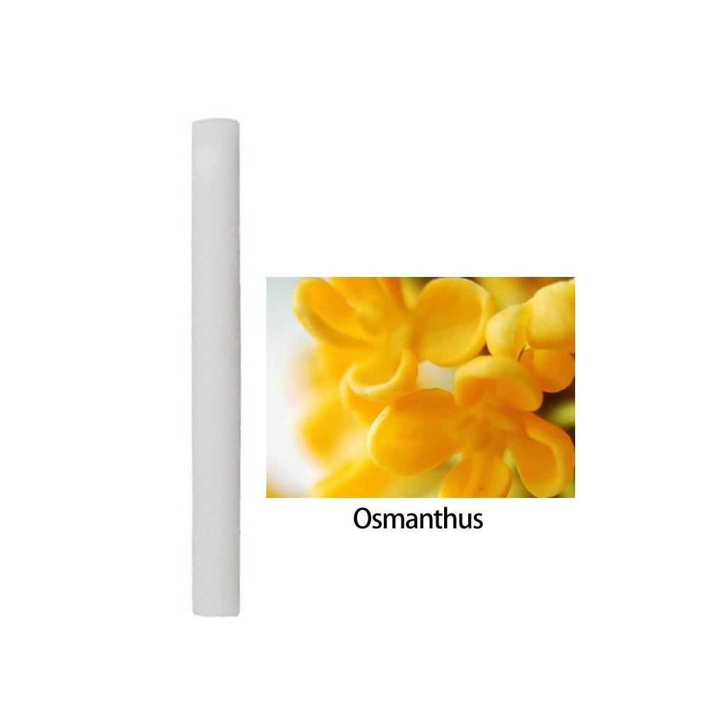 Autoduft, individueller Entlüftungsclip, zylindrischer Entlüftungsclip für ätherische Öle im Auto, Diffusor mit 10 Nachfüllstäbchen für Auto, Büro, Küche