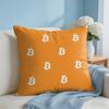 Bitcoin Btc Logo Cool Cushion Cover Square Pillow Bedroom Sofa Leisure Comfort Living Room Home Decoration X
