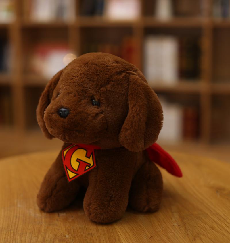 1ks 19cm roztomilý pejsek s pláštěm Plyšová hračka Vycpaná panenka štěně Kawaii Krásná zvířecí hračka pro děti Miminko