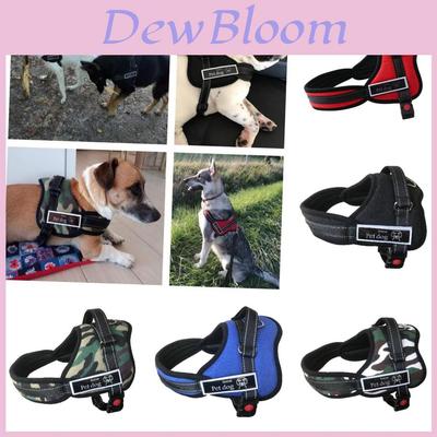Premium Quality Pet Chest Harness And Leash For Medium To Large Dogs Adjustable Durable And Stylish