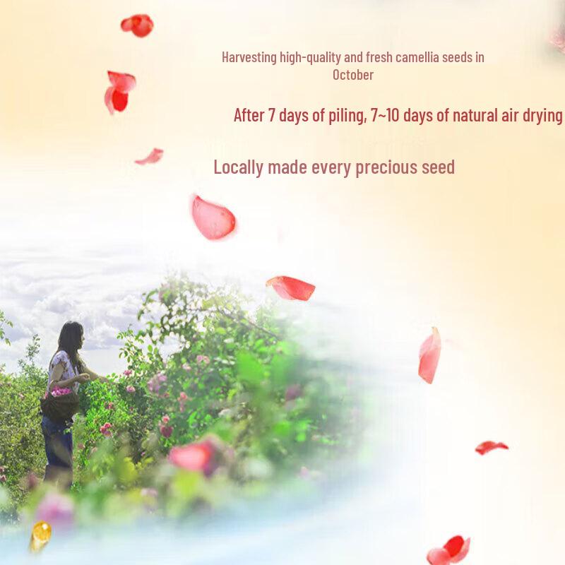 Sulei Camellia Oil Control Anti-Dandruff Shampoo & Conditioner Set