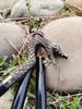 Silver Dragon Head Walking Stick – 3 Fold Black Hardwood Cane, Style Handle