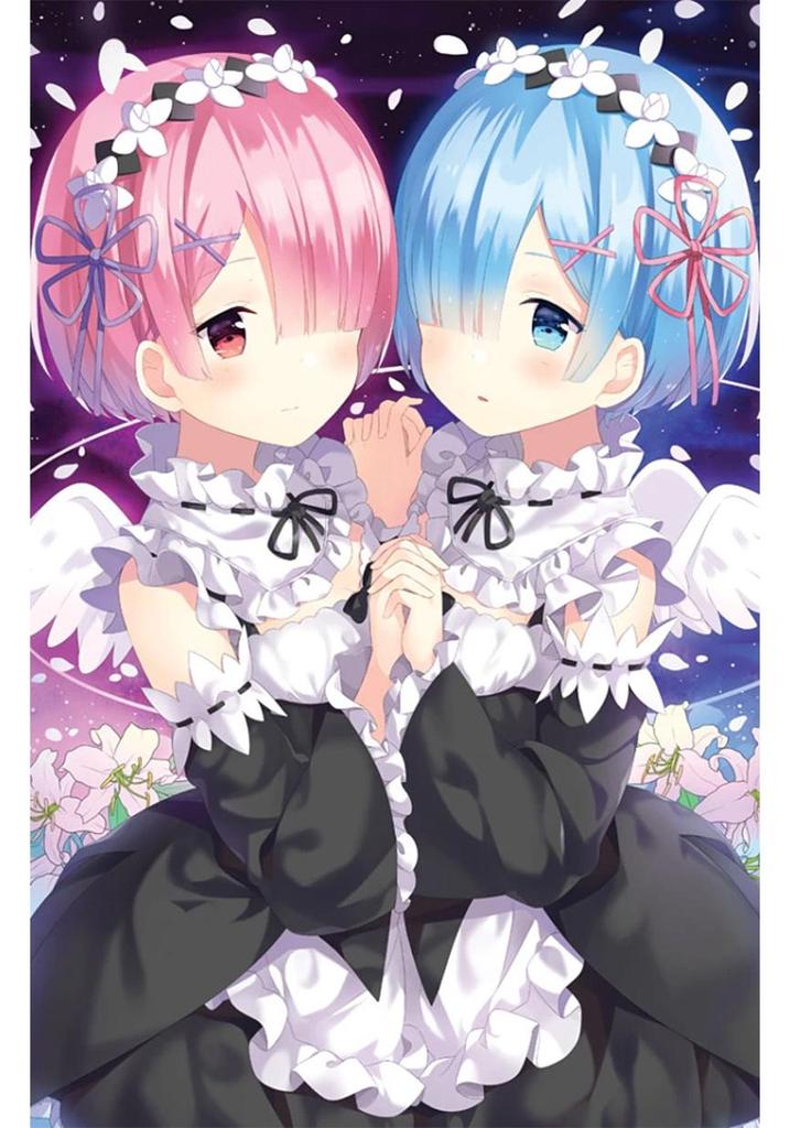 Rem & Ram Anime-Inspired Maid Cosplay Outfit