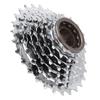 Chromeplate Bicycle Flywheel Rear Free Wheel Replacement Accessory for Mountain Bike7 Speed