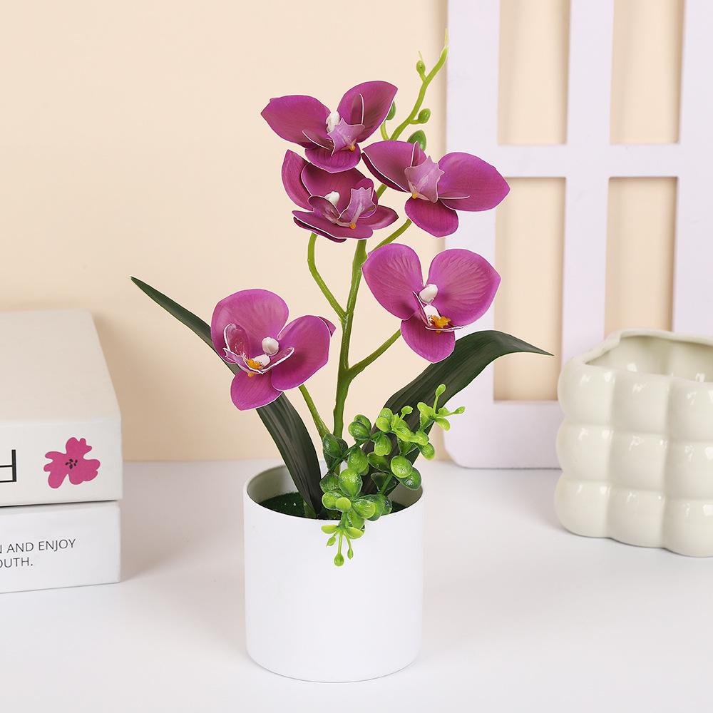 5 Plantas Simuladas de Phalaenopsis en Maceta para Decoración de Hogar y Oficina Plantas Pequeñas en Maceta Falso Bonsái Plantas Verdes
