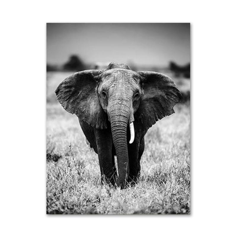 Nature Landscape Poster Plant Lion Animal Leaf Canvas Wall Art Plam Tree Starry Night Painting Decorative Home Picture Decor