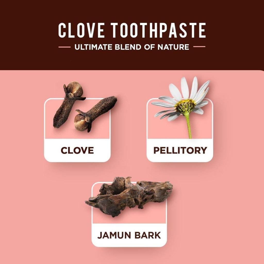 Dabur Organic Clove Toothpaste (herbal toothpaste with clove extract) 100ml