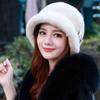 Winter New Mink Fur Hat for Women Middle-aged and Elderly Mothers Imitation Fur Ear Protection Warm Fashion Fisherman Hat