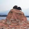 Hide The Pain Harold Meme Blanket Soft Warm Flannel Throw Blanket Bedspread for Bed Living room Picnic Travel Home Couch