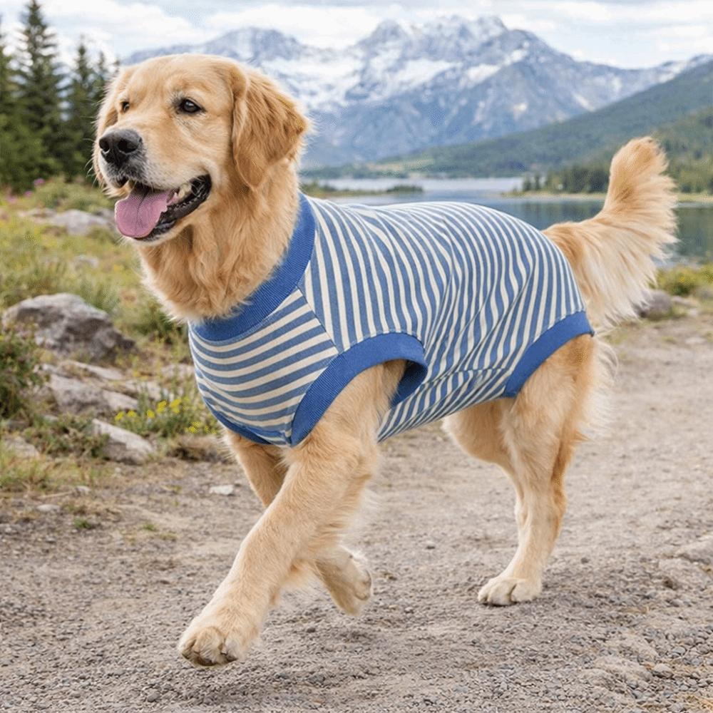 Striped Dog Sterilization Suit Warm Dog Four Legged Vest Fleece Anti-Licking Vest  Belly Protection