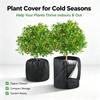 Cold Wind Plant Cover with Vertical Opening, Fabric and Gathered Cord Closure for Potted Bushes and Small Trees