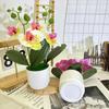Artificial Phalaenopsis Flowers Decorative Plant For Home And Decoration Event