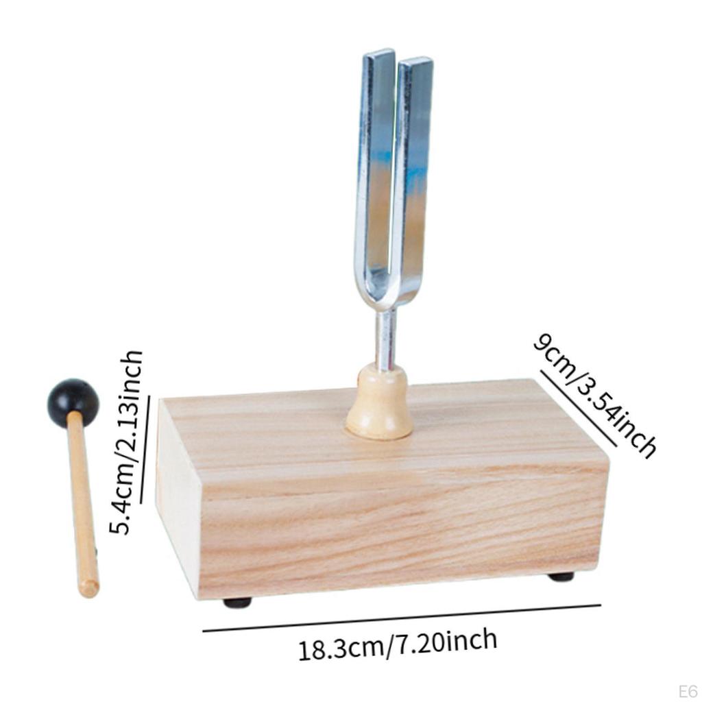 Stimmgabel Experimentalinstrument mit Resonanzkasten Singtonsatz für