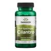Full Spectrum Cilantro, 425mg - 60 Caps