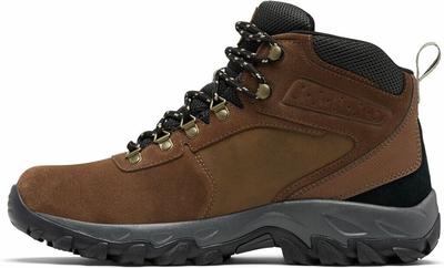 Hiking Shoes Newton Ridge Plus II Suede
