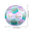 Ronaldo's Golden Celebration Size 5 Football Machine-Stitched Indoor/Outdoor Universal Football Sports Enthusiast Gifts
