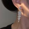 Silver Needle Zircon Waterdrop Tassel Earrings New Fashionable Light Luxury Versatile Stud Earrings with a Unique Sense of High-End Earring Design