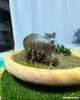 [USED] Hippopotamus figure/diorama