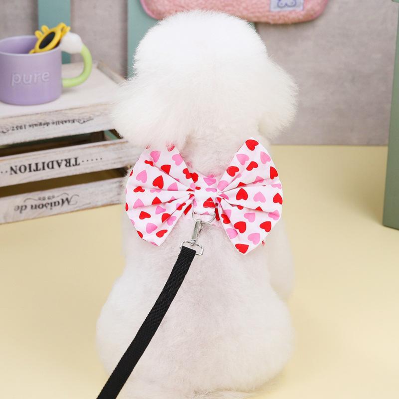 Pet cat dog leash clothes bow chest strap teddy bear pomeranian small dog out vest