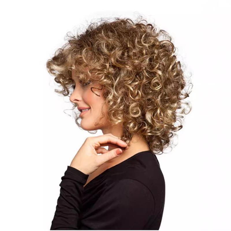 Synthetic Short Wigs for Women Afro Curly Wig Natural Fluffy Hair Daily Ladies Wig Cosplay Party Heat Resistant