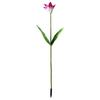 Waterproof LED Lily Garden Lamp – Outdoor Artificial Flower Landscape Decoration