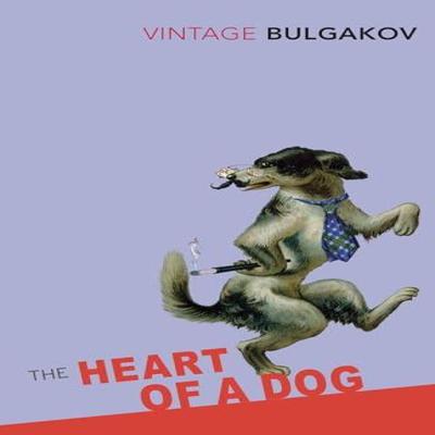 The Heart Of A Dog by Mikhail Bulgakov Paperback Book 9780099529941