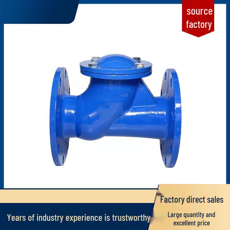 Corrosion-Resistant Vertical Flanged Ball Check Valve