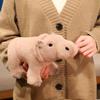 Cartoon Moo Deng Plush Toys Forest Animal Hippo Doll Plush Toy  Sofa Ornament