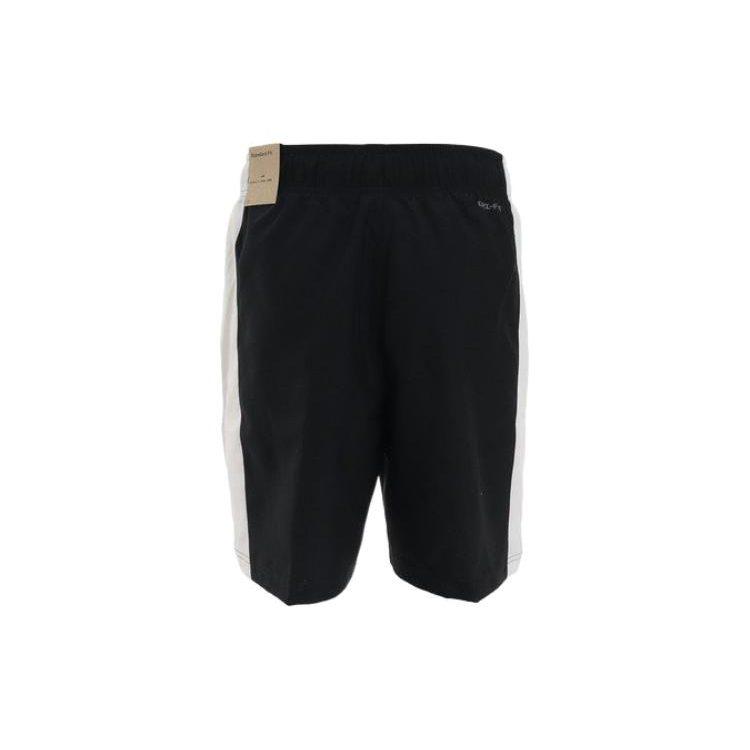 Jordan Casual Shorts Men's Multicolor Moderate DH9082-010