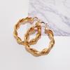 Earrings Stylish Geometric Twist Hoop Earrings Stylish Personality Earrings