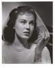 Fay Wray 8x10 Photo Picture Very Nice Fast#1