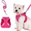 1 Peça Conjunto de Coleira e Peitoral para Cães