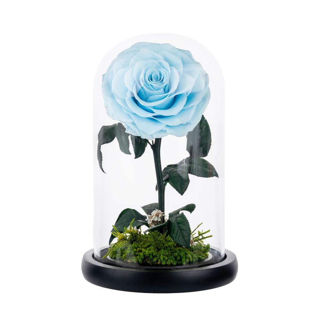 Unsterbliche Blume, die Rose des kleinen Prinzen, echte Blume getrocknete Blume, hochwertiges Fertigprodukt, Geschenk zum Geburtstag und Valentinstag für den Freund.