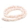 Shell Spacer Beads Natural Freshwater Shell Isolation Beads 6mm For Jewelry Making DIY Necklace Bracelet Earrings Accessory