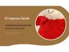 Graduation Commemorative Teddy Bear Plush with School Emblem Logo