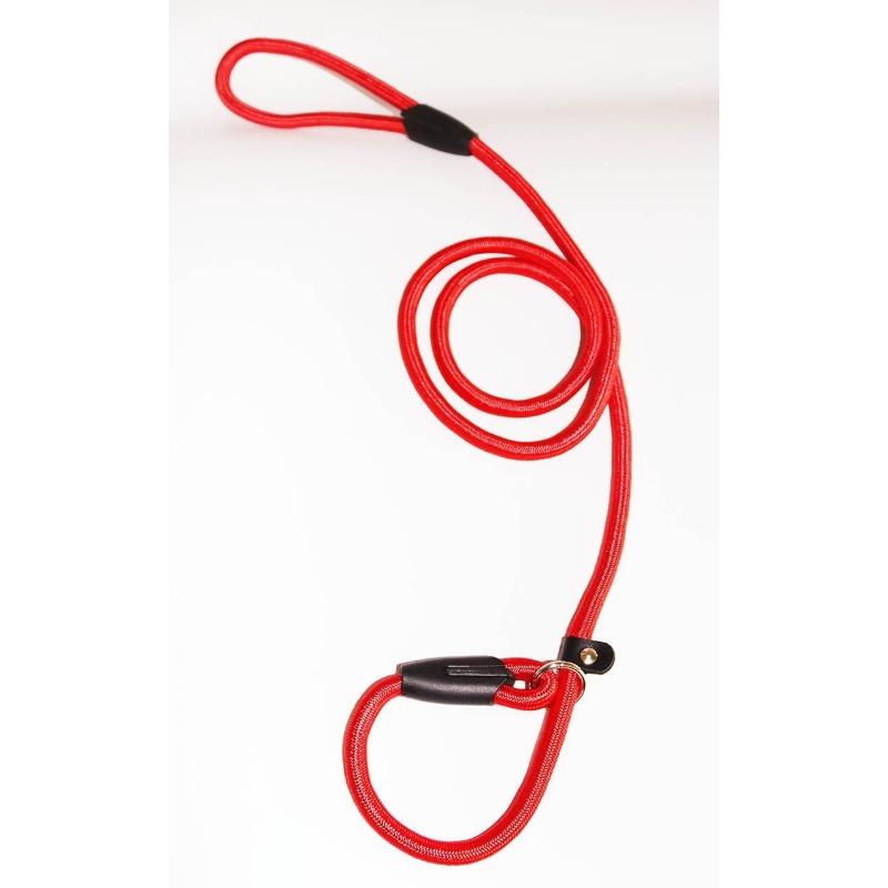 Nylon Dog Buckle Anti-burst Leash, Durable Pet Leash, P-chain Leash, Dog Walking Leash, Dog Chain