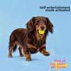 High Elasticity Pet Toy Ball Latex Squeaky Toy Ball Molar Ball Teeth Cleaning Toy  Pet Supplies