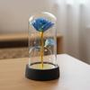 Valentine's Day Gift Rose Immortal Flower Glass Cover Night Light Qixi Festival Mother's Day Christmas Creative Ornament
