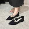 Square heel pointed Mary Jane shoes women's shoes spring 2025 new shallow mouth French pearl word with temperament single shoes