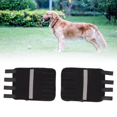 petco dog leg brace