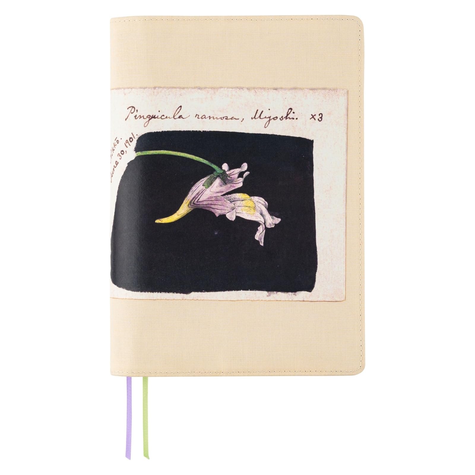 

Hobonichi Techo Cousin Notebook Cover Tomitaro (A5) Makino/Kousinso